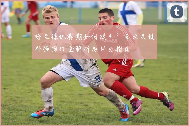 哈兰德休赛期如何提升？五大关键补强操作全解析与评分指南