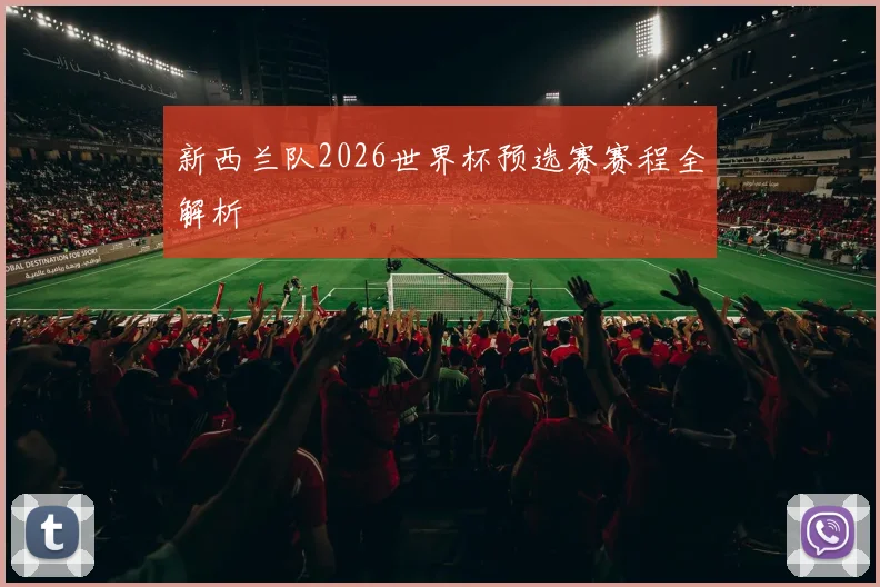 新西兰队2026世界杯预选赛赛程全解析