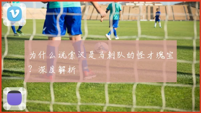为什么说索汉是马刺队的怪才瑰宝？深度解析